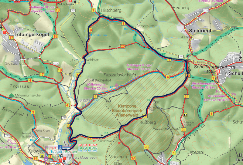 tut gut - Route 2