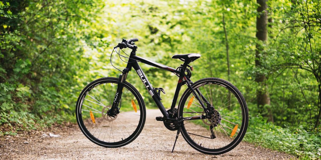 Fahrrad im Wald
