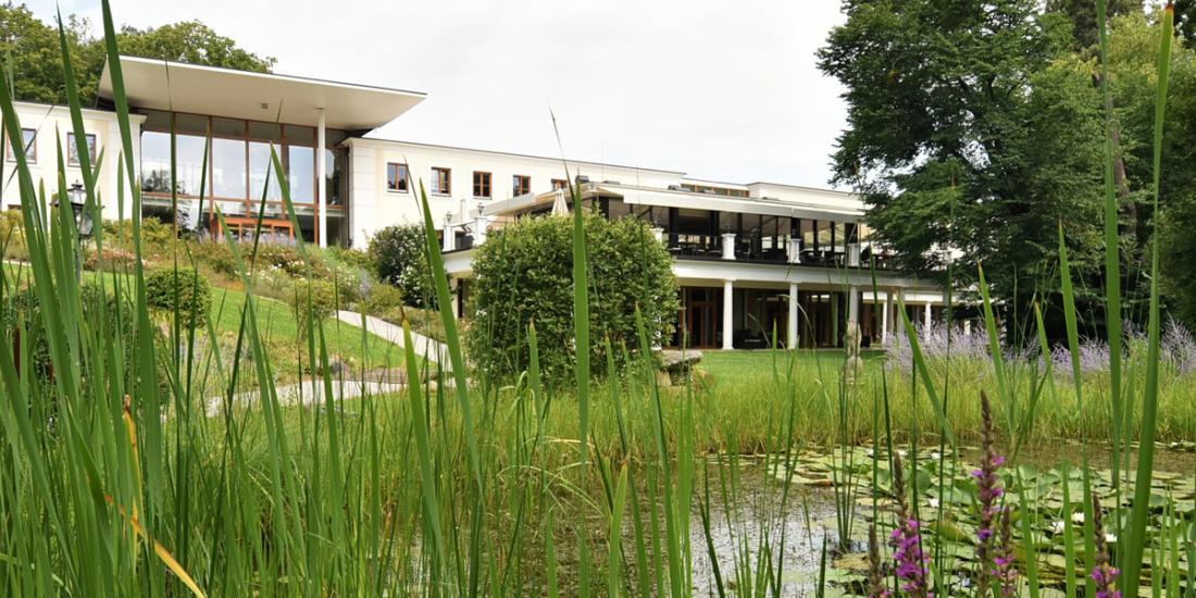 Schlosspark Mauerbach with biotope in the foreground