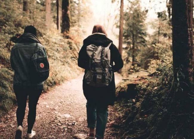 zwei Wanderer im Wald