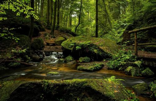 wood river
