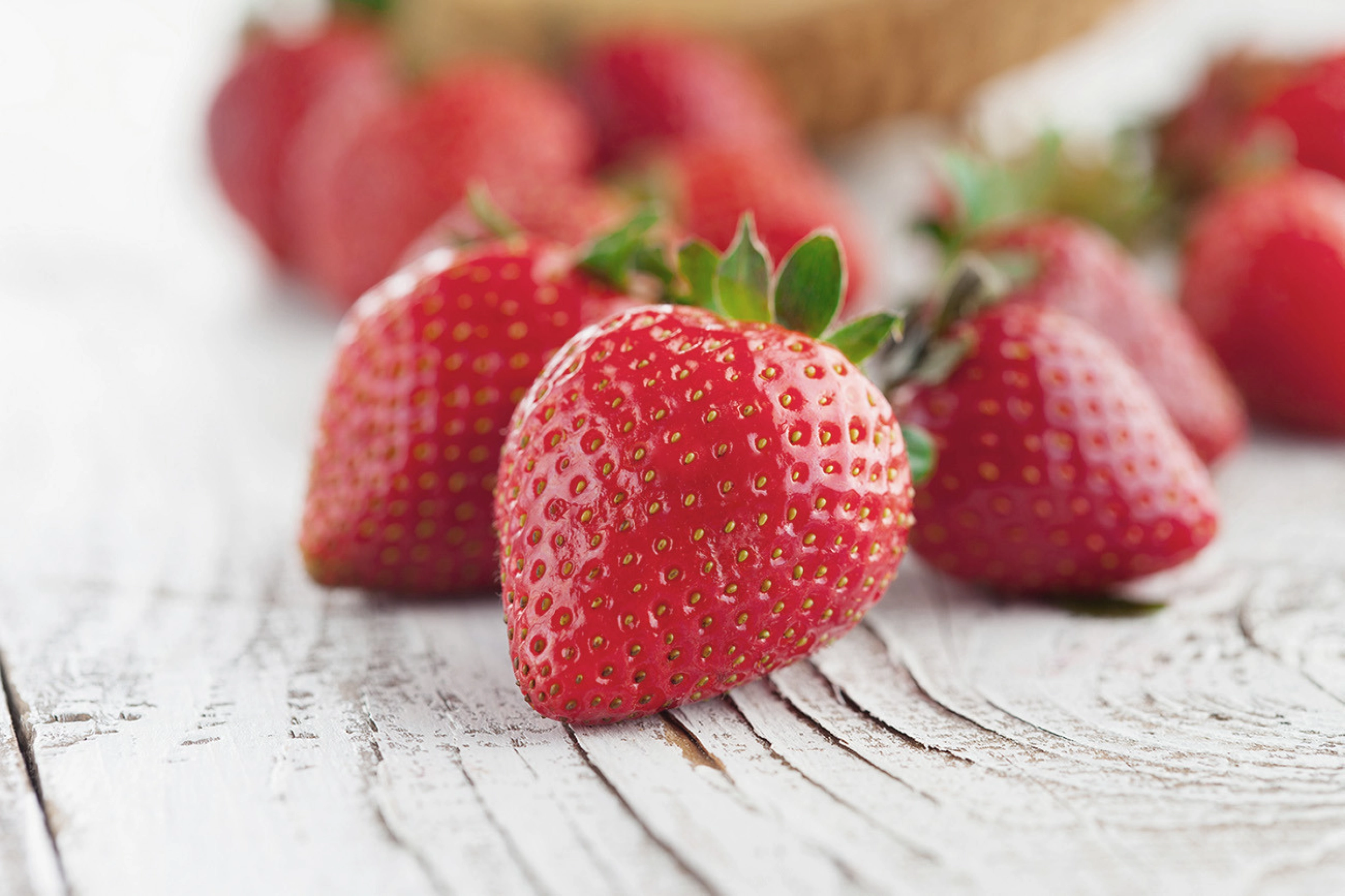 Erdbeeren Erdbeeren